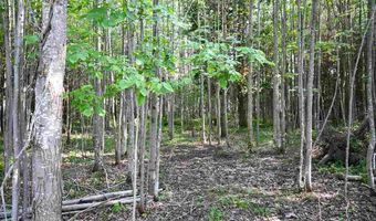 9537 LAKEVIEW, Alanson, MI 49706