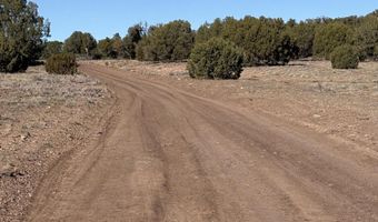 3 N 8716, Concho, AZ 85924