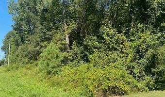 NOCKS LANDING RD lot 46, Atlantic, VA 23303