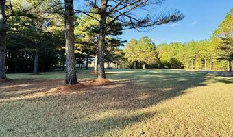 1450 CR 704, Blue Mountain, MS 38610