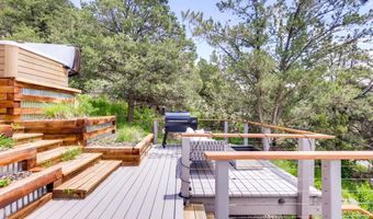 21249 Two Rivers Rd, Basalt, CO 81621