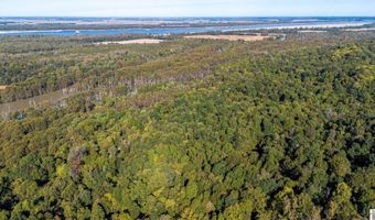 000 County Road 1320, Bardwell, KY 42023