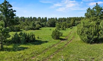 Old Homestead Ln, Beulah, CO 81023