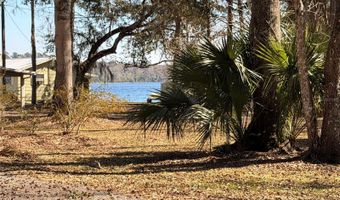53706 RIVERTRACE Rd, Astor, FL 32102