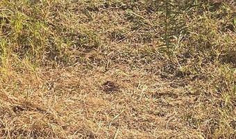 6525 E 180, Anson, TX 75901