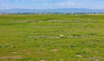 CR 51, Ault, CO 80610