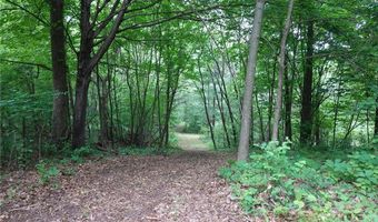 6 Xx US Highway 8, Apple River, WI 54001