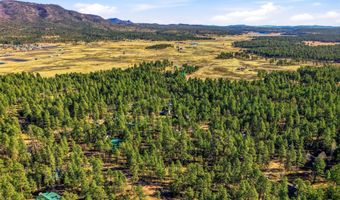 20 Co Rd 2067, Alpine, AZ 85920