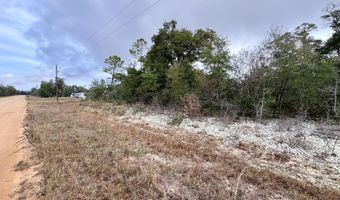 Sadorus Avenue lot 14, Alford, FL 32420