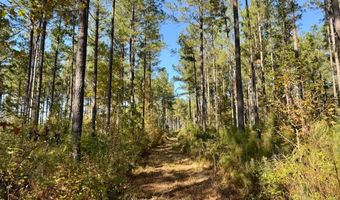 TBD Binnicker Bridge Road, Bamberg, SC 29003