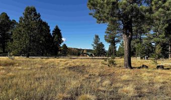 1290 Torrey Pines Ln, Angel Fire, NM 87710