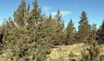 Canvasback Drive, Bonanza, OR 97623