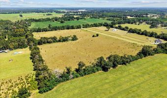 232 344 County Road 344, Bell, FL 32619