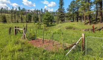 8523 WILTBANK Rd, Alpine, AZ 85920