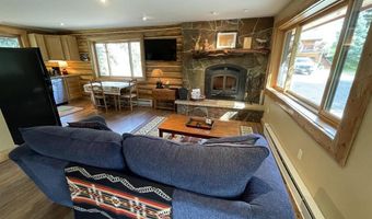 209 Deer Path Ln, Almont, CO 81230