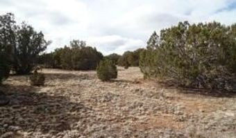 23 Co Rd 8021, Concho, AZ 85924