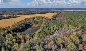 0 County Road 127, Banks, AL 36005