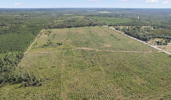 NW Cr-73a, Altha, FL 32421