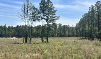 461 Lally Cir, Aberdeen, NC 28315