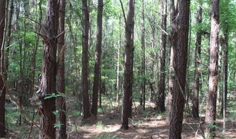 0000 Highway 550 NW, Brookhaven, MS 39601
