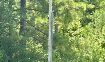 26489 Point A Isle Rd, Andalusia, AL 36421