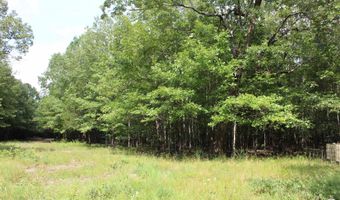TBD CR 4670, De Kalb, TX 75559