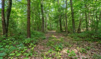 1125 39th St, Allegan, MI 49010