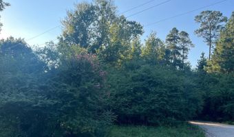20 Acres Perry Rd, Bauxite, AR 72011