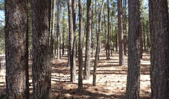 8 B County Road 2267 Escudilla Rd, Alpine, AZ 85920