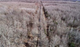 6075 Curtis Rd, Batesville, MS 38606