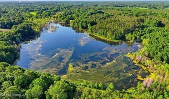 425 Rose Hill Rd, Bentonia, MS 39040
