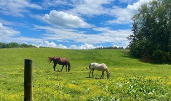 801 Purdum Mill Rd, Appomattox, VA 24522