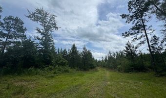 0 Salco Rd, Axis, AL 36505