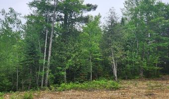 Map2lot10 Pinkham Road, Acton, ME 04468
