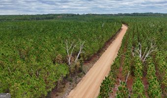 Penny Morris Road, Baxley, GA 31513