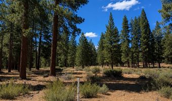 3571 Knob Point Trl 92, Carson City, NV 89705