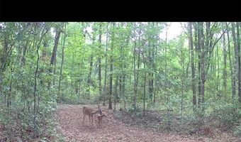 4814 NW 244 Ave, Alachua, FL 32615