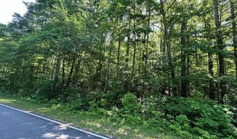 George Green Rd, Tallapoosa, GA 30176