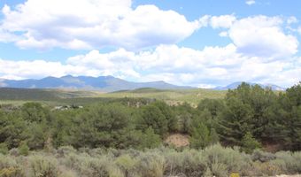 Tract 12 Trementina Road, Arroyo Hondo, NM 87513