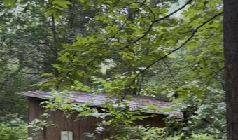 Collins Road, Blaine, TN 37709