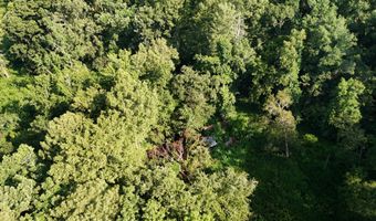 Swamp Road, Beech Island, SC 29842