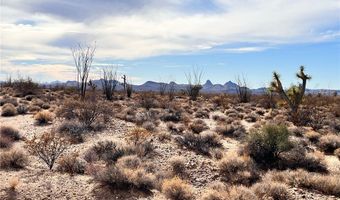 Lake Havasu Acres lot 166, Yucca, AZ 86438