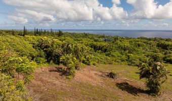 601 N Honokala Rd Lot A, Haiku, HI 96708