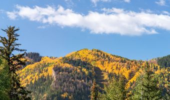 931 Gibson Ave, Aspen, CO 81611