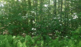 72-1 Frohock Brook Rd, Alton, NH 03810