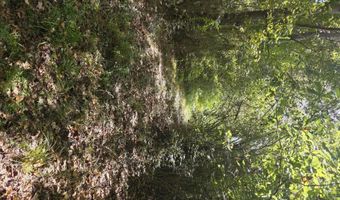 2862 Wallace Dr, Bogue Chitto, MS 39629