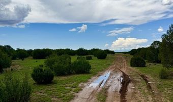 85 CR 8128 Lots 100 101 & 108, Concho, AZ 85924
