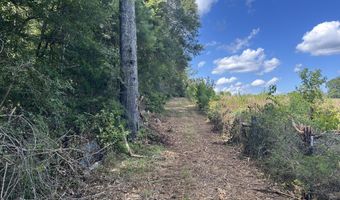 001 Farr Rd, Bolton, MS 39041