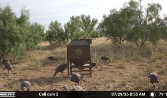 County Road 239, Afton, TX 79220
