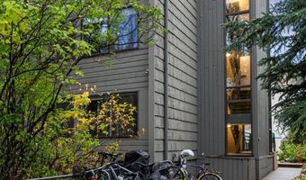 725 E Main St 309, Aspen, CO 81611